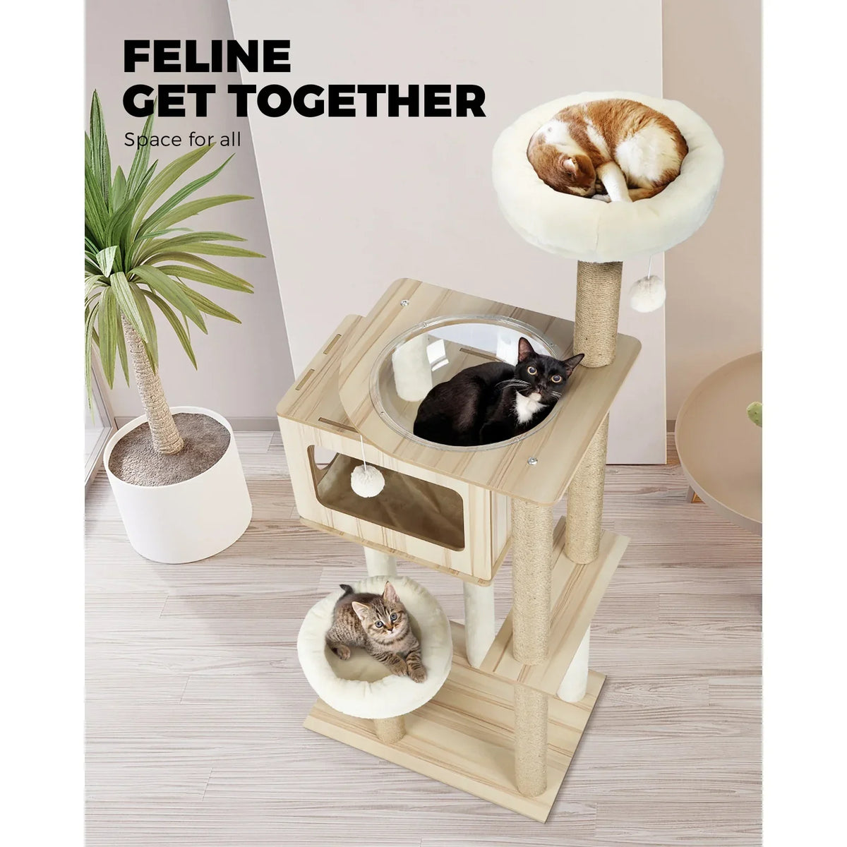 CTR-W-B1-MT-135 Alopet Cat Tree Tower Scratching Post Scratcher Cats Condo House Bed Furniture