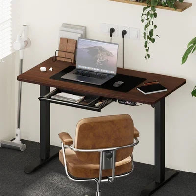 SD-LEG-120M-BK+DB-SLIM-12-WN+DB-DRAW-PLS-BK Oikiture 120cm Electric Standing Desk With Drawer Adjustable Height Black