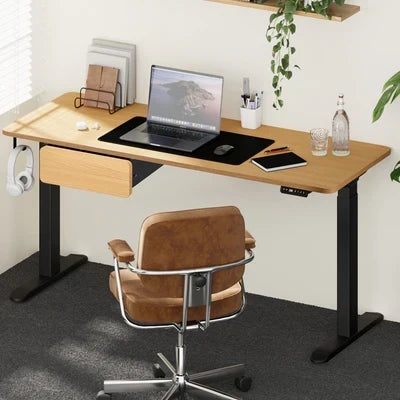 SD-LEG-M2-BK+DB-16-OAK+DB-DRAW-MTL-OAK Oikiture 160cm Electric Standing Desk Dual Motor Drawer Adjustable Oak Black